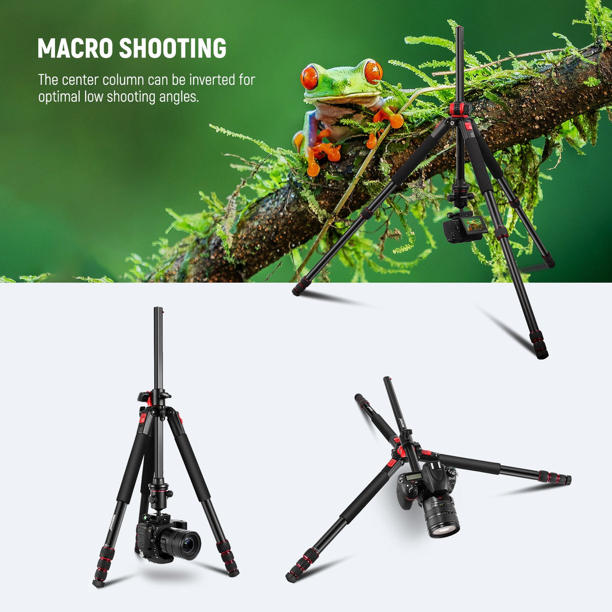 NEEWER N284L+G0 Camera Tripod Monopod