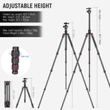 NEEWER N55C 68" Carbon Fiber Monopod Tripod