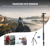 NEEWER 77'' TP77 Aluminum Alloy Camera Monopod Tripod