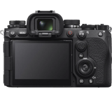 Sony A9 III - (Rental)