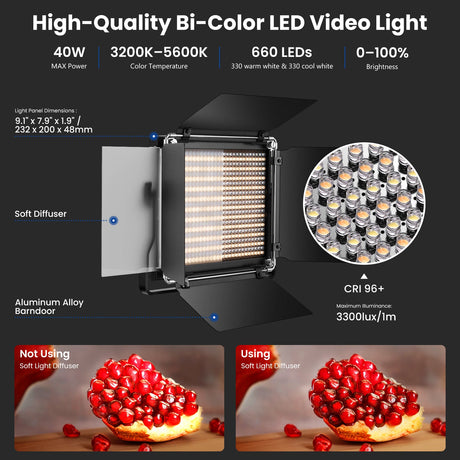 NEEWER 2 Pack Bi-Color 660 LED Video Light and Stand Kit