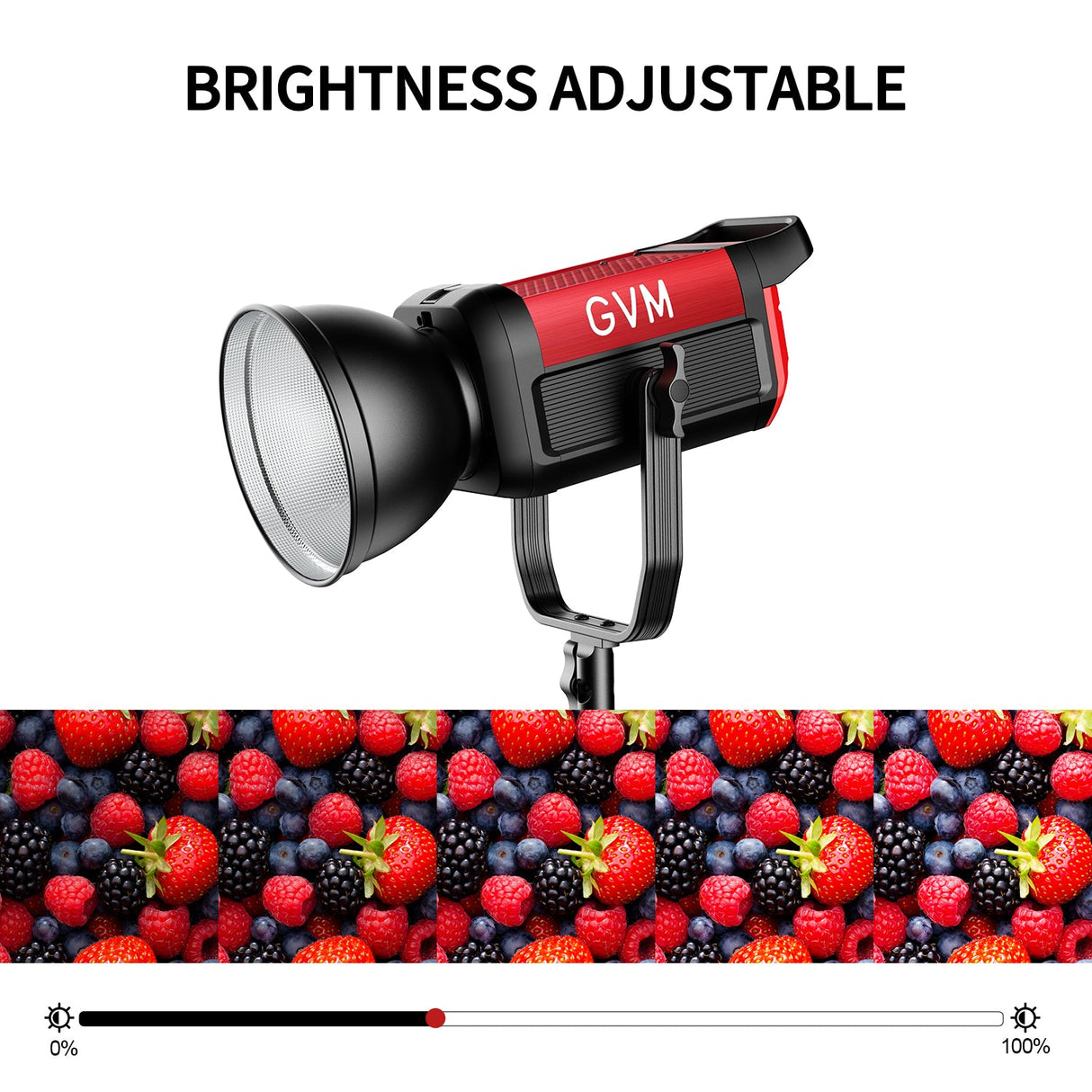 GVM PRO-SD200B 200W Bi-Color Mesh Bluetooth Monolight